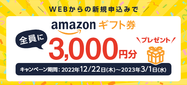Amazonギフト券3,000円分全員プレゼントキャンペーン